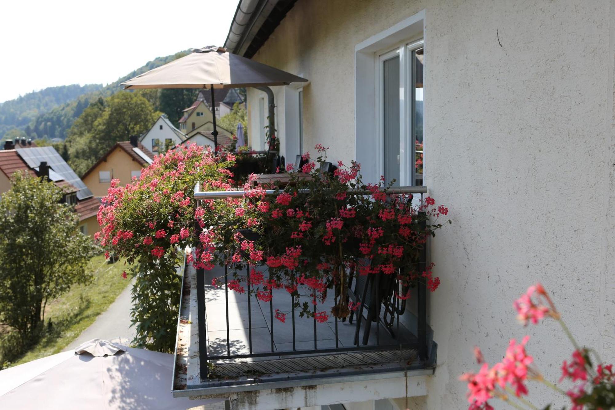 Ferienwohnungen Porisch Egloffstein Extérieur photo