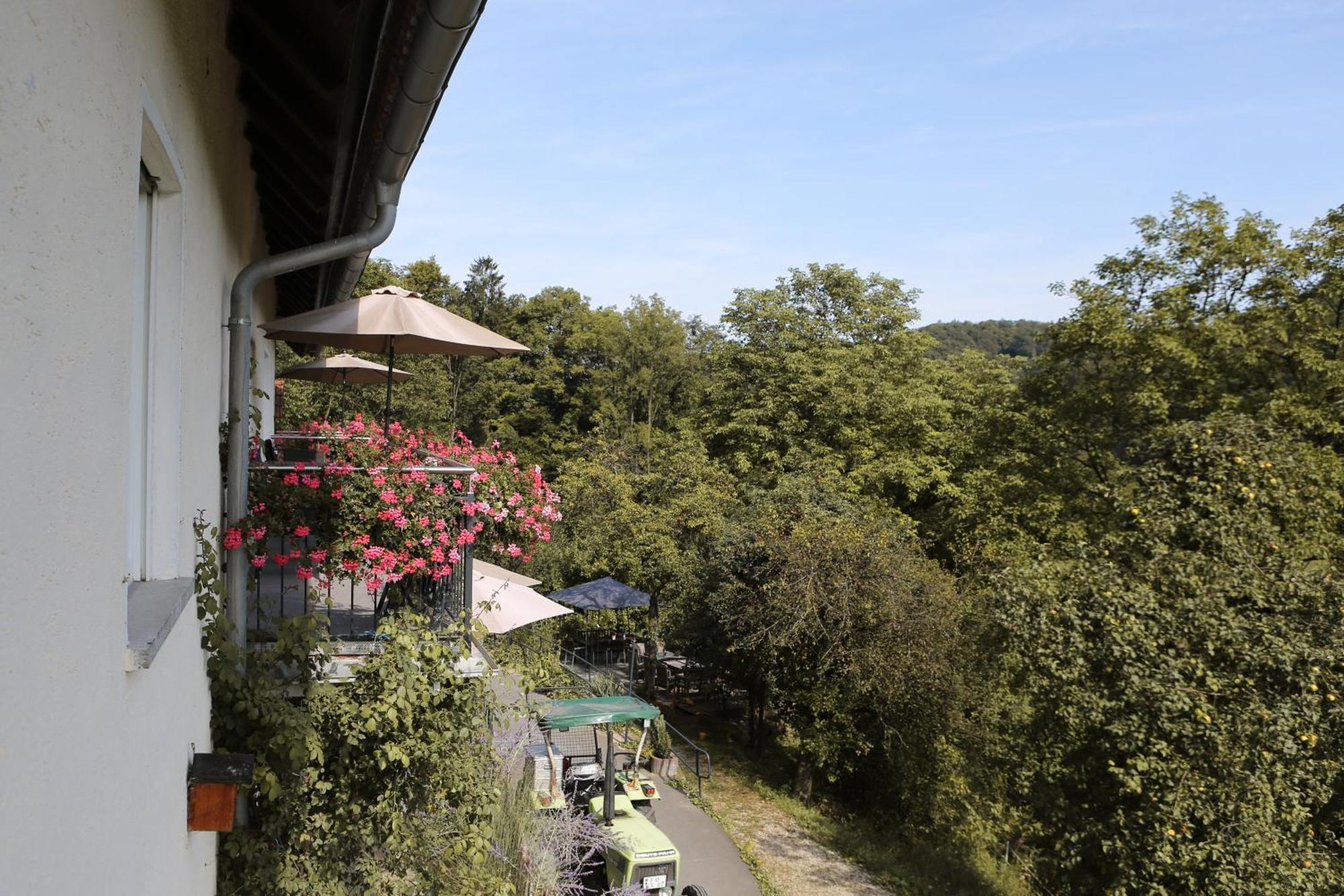 Ferienwohnungen Porisch Egloffstein Extérieur photo